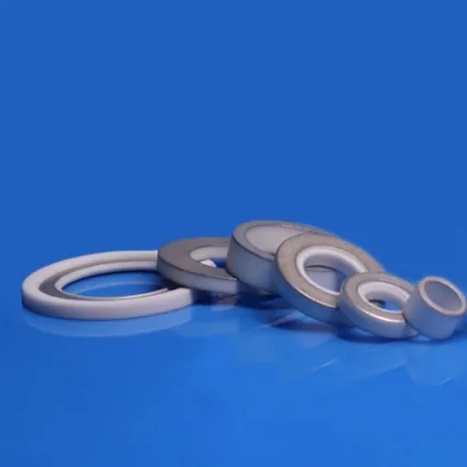 Industrial High Bonding Strength Technical Al2O3 Alumina Metallized Ceramic
